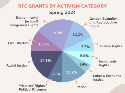 Pie Chart depicting breakdown of grants by activism type