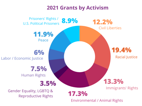 Pie chart of 2021 grants