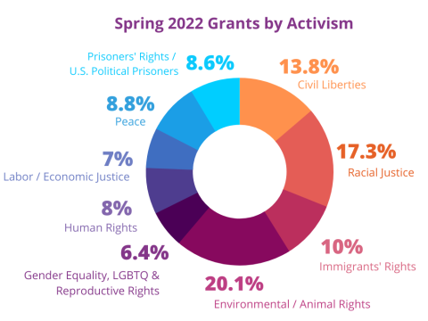 Pie chart displaying percentages of grants by activism type (for example, immigrants' rights and racial justice)