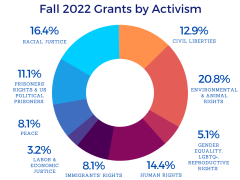 pie chart depicting grants awarded by type of activism