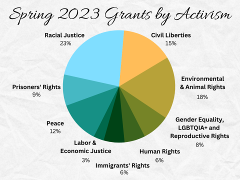 pie chart depicting grants awarded by type of activism