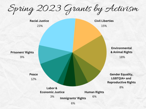 pie chart depicting grants awarded by type of activism