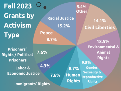 Pie Chart depicting breakdown of grants by activism type