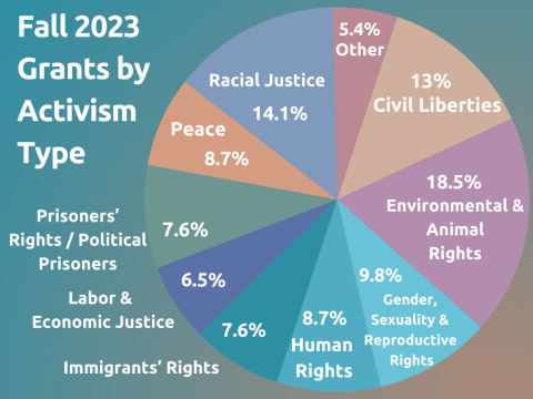 Pie Chart depicting breakdown of grants by activism type
