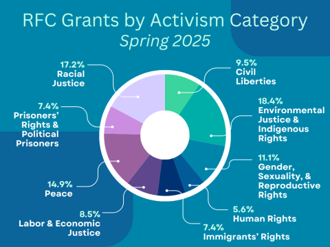 Pie Chart Showing Spring Grants by Activism Category